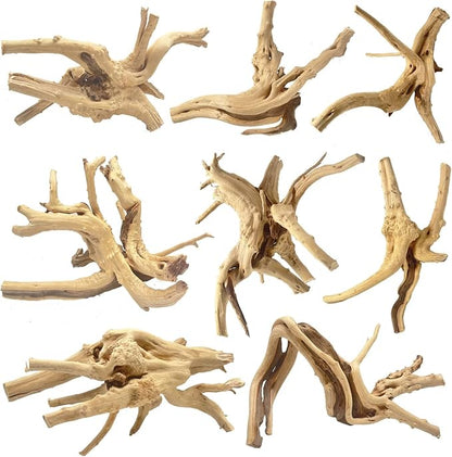 Jorewood Natural Small Spiderwood Driftwood by JOREWOOD