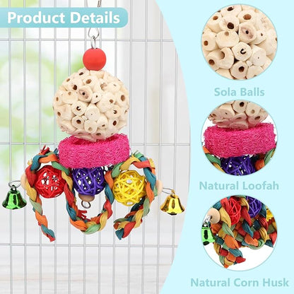 Wontee Bird Toys 3 Pack Parrot Foraging Hanging Toys Sola Ball Natural Nuts - Image 2