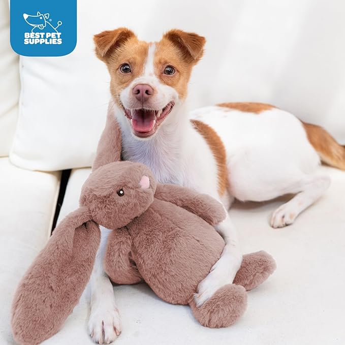 Best Pet Supplies Squeaky Dog Toys - Image 5