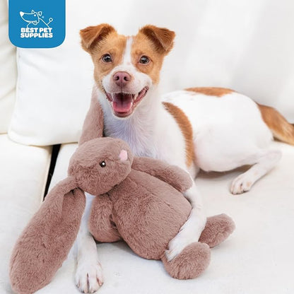 Best Pet Supplies Squeaky Dog Toys - Image 5