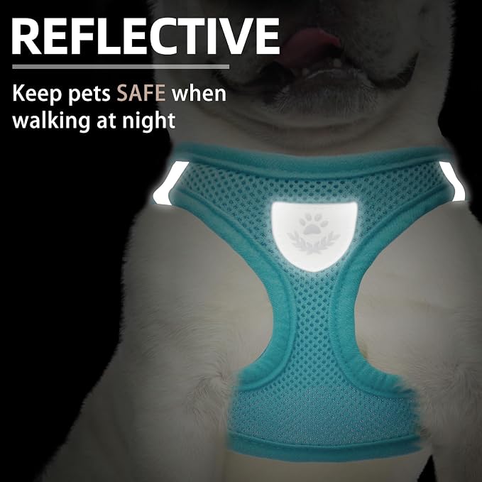 PUPTECK Adjustable Dog Harness Collar and Leash Set Step in No Pull Pet Harness - Image 5