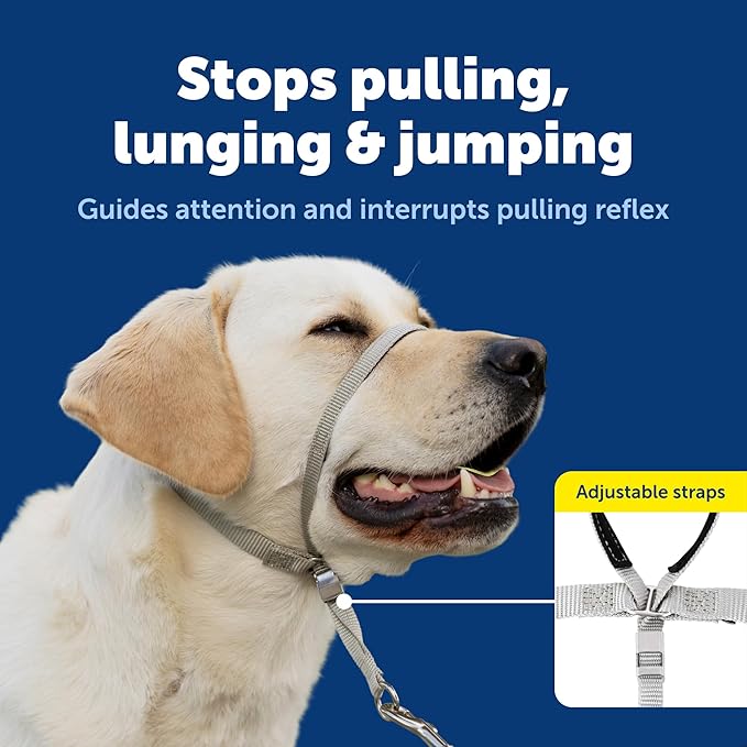 PetSafe Gentle Leader No-Pull Headcollar - Image 3