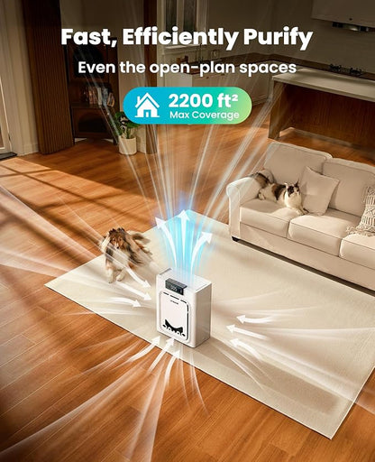 oneisall Air Purifiers for Home Pets - Image 3