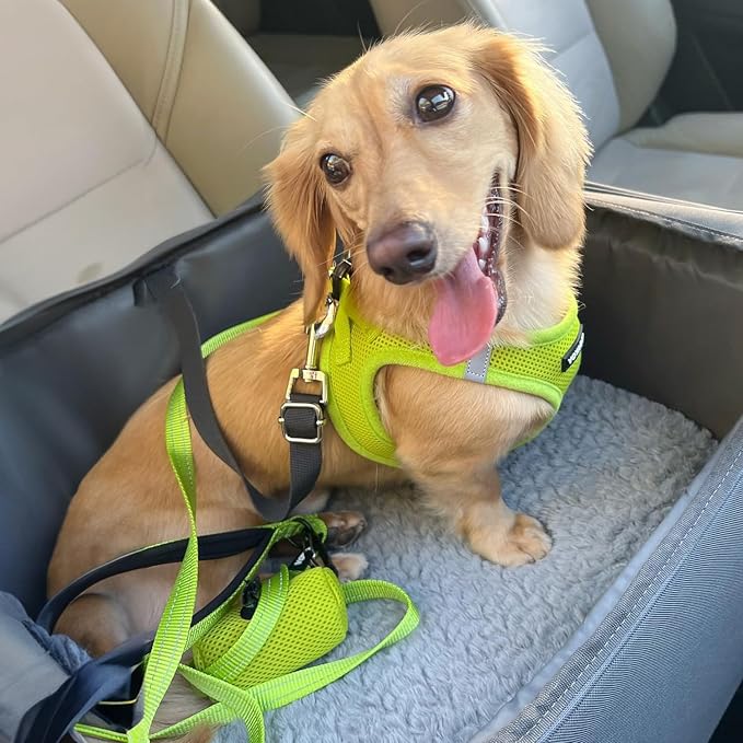 Best Pet Supplies Voyager Step-in Air Harness - Image 7