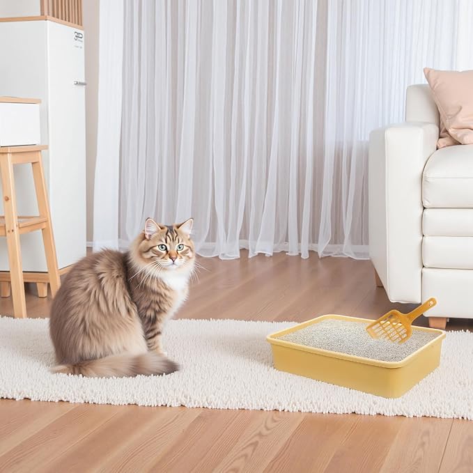 6 Set Small Cat Litter Box Kitten Litter Pan 12.3" x 8.5" x 2.7" Rabbit Plastic - Image 2