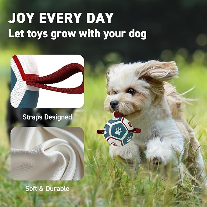 QDAN Small Dog Toys, Puppy Balls, Dog Balls - Image 3