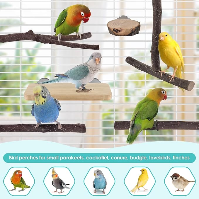 Bird Perches, Hanging Multi-Branch Parrot Perch Platform Swing Toy Cage - Image 7