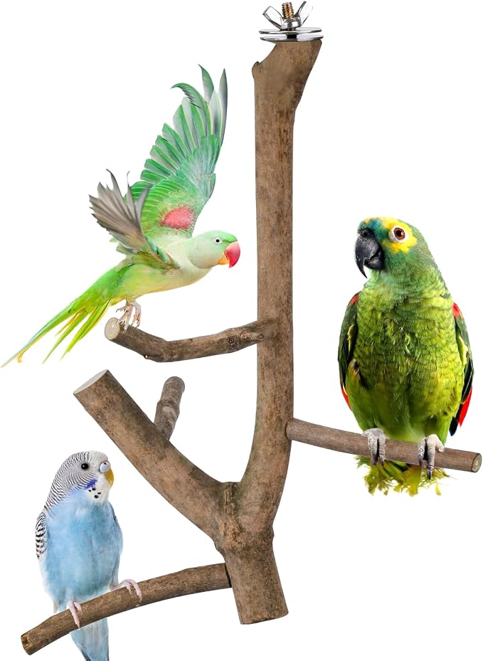Bird Perch Stand, Natural Vitex Negundo Wood Parrot Perch Bird Cage Branch Perch by Matutinus