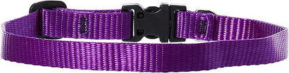 LupinePet Basics 1/2" Purple 10-16" Adjustable Collar - Image 2