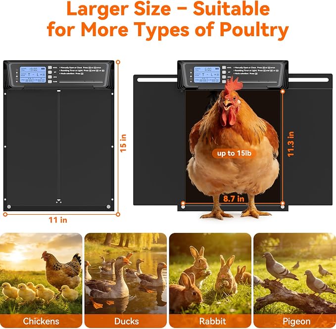 Automatic Chicken Coop Door Large Size, 7W Solar Powered - Image 7