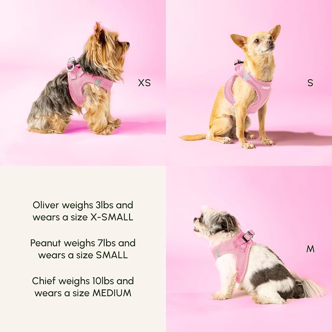 Downtown Pet Supply Step in Dog Harness - Image 4