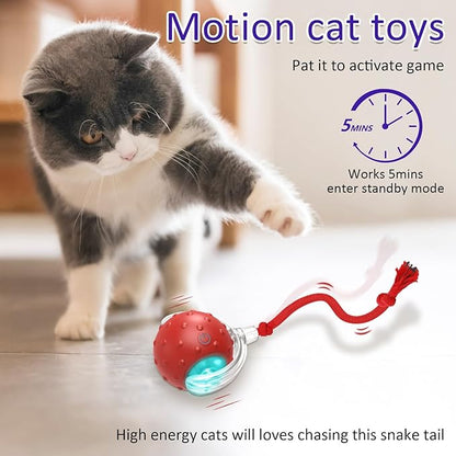 Interactive Cat Toys Ball for Indoor Cats Fast Rolling on Carpet, Chirping & - Image 3