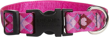 LupinePet Originals 3/4" Puppy Love 9-14" Adjustable Collar by LupinePet