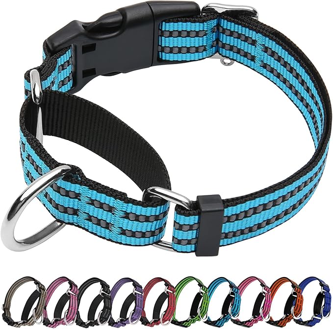Martingale Dog Collar, Adjustable Nylon Reflective Collar by JOYEEIIOO