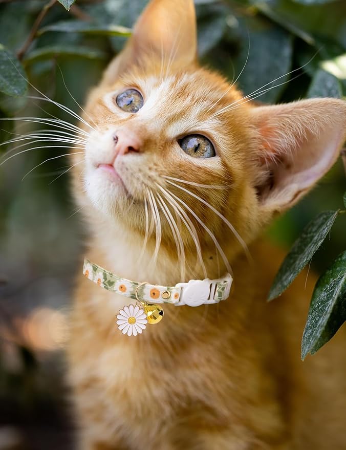 Cat Collar Breakaway with Bells, 3 Pack Safety Adjustable Pet Collars - Image 5