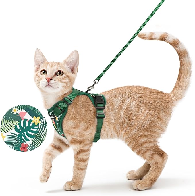 rabbitgoo Cat Harness and Leash by rabbitgoo