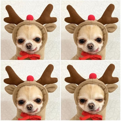 Warm Dog Winter Clothes Cute Fruit Dog Coat Hoodies Fleece Pet Dogs Costume - Image 2