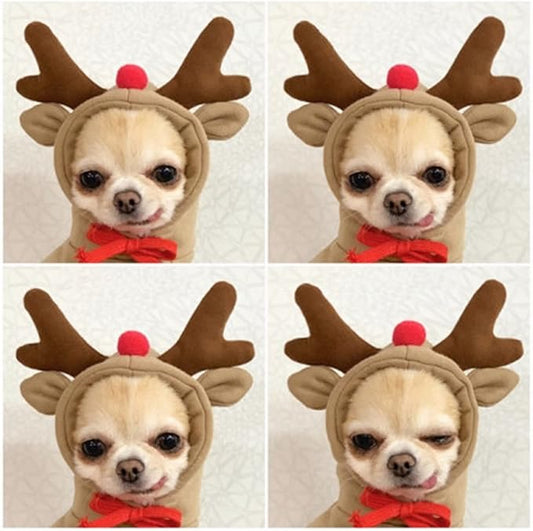 Warm Dog Winter Clothes Cute Fruit Dog Coat Hoodies Fleece Pet Dogs Costume - Image 2