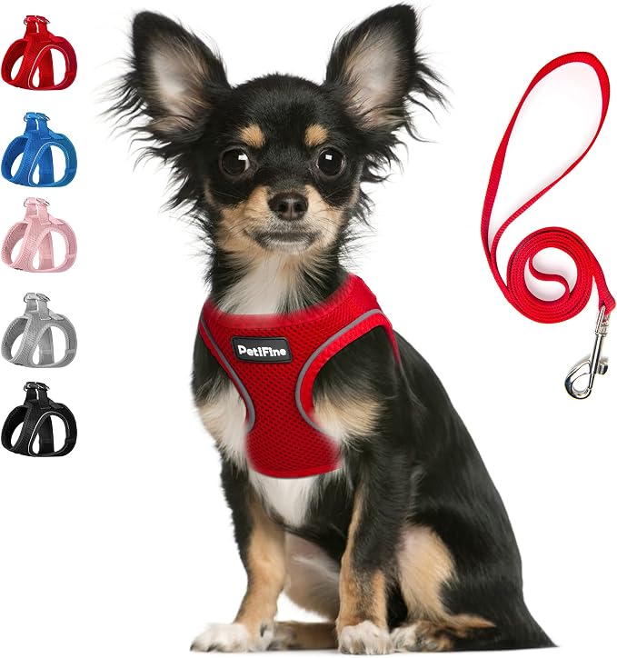 PetiFine Step in Small Dog Harness and Leash Set, Breathable All Weather Air by PetiFine