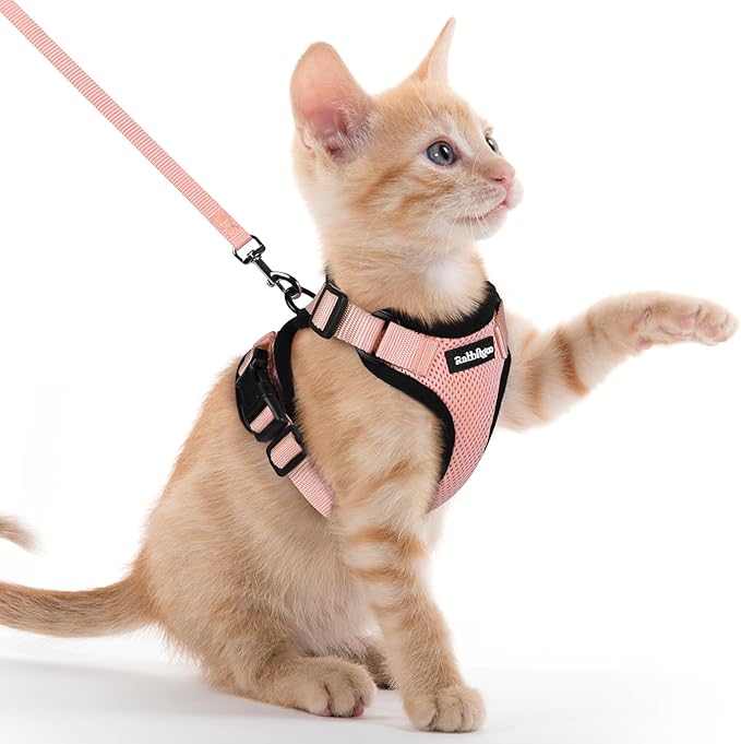 rabbitgoo Cat Harness and Leash by rabbitgoo