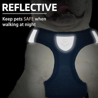 PUPTECK Adjustable Dog Harness Collar and Leash Set Step in No Pull Pet Harness - Image 5