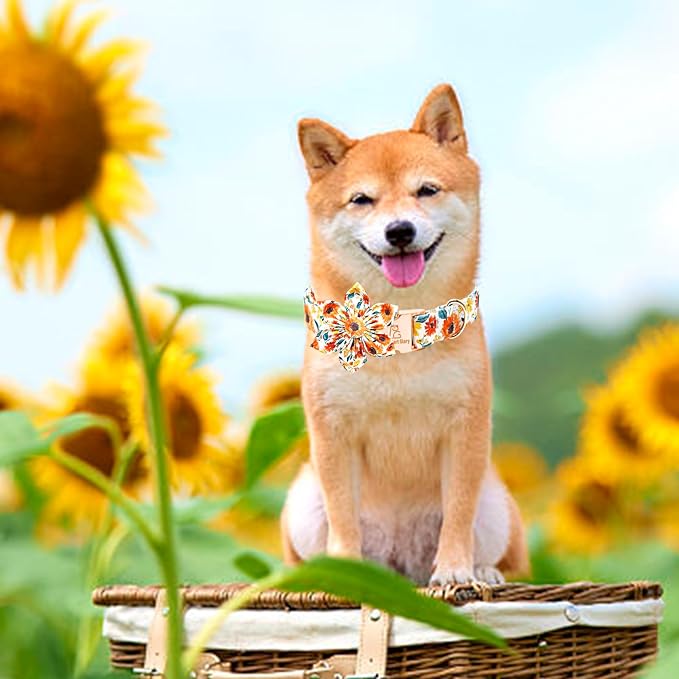 Lionheart Glory Floral Dog Collar - Image 6
