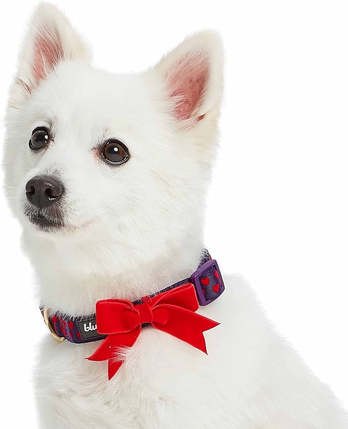 Blueberry Pet Adjustable Flocking Dog Collar - Image 3