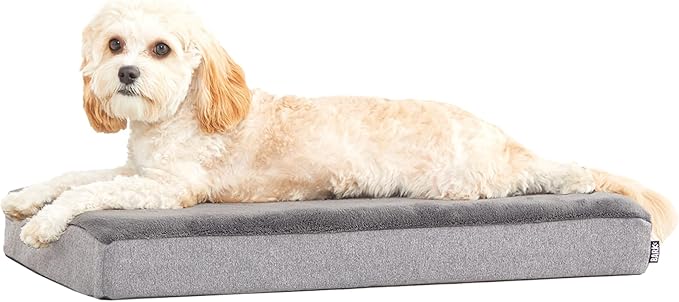 Barkbox Orthopedic Dog Bed by BARK