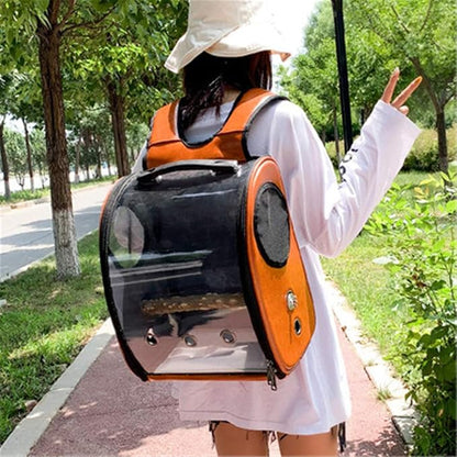 Bird Carrier Clear Parrot Outing Backpack APET Transparent Acrylic Bird Travel - Image 6
