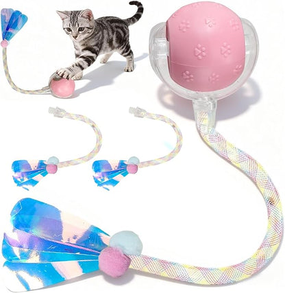 Rocfish Durable Interactive Cat Toys by Unknown