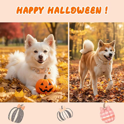 Halloween Dog Collars, Fall Dog Collar - Image 3