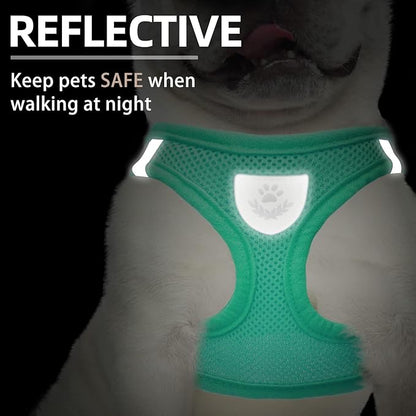 PUPTECK Adjustable Dog Harness Collar and Leash Set Step in No Pull Pet Harness - Image 4