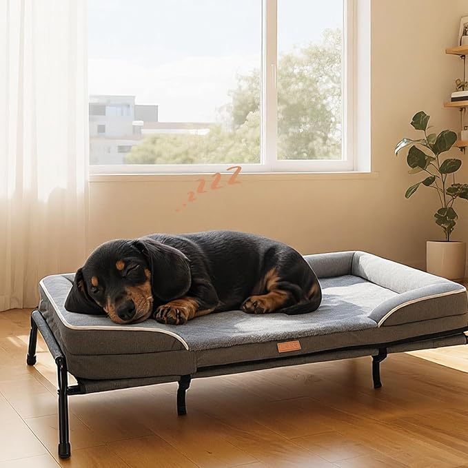 Lekereise Raised Dog Bed for Small Dog 32x25 Inch, Comfortable Orthopedic Pet by Lekereise