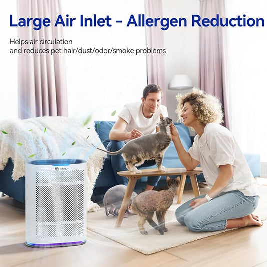 Air Purifiers for Home Large Room Cover 2, 100 Ft², Home Air Purifier - Image 2