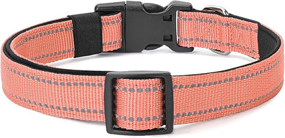 Reflective Dog Collar Padded - Image 6