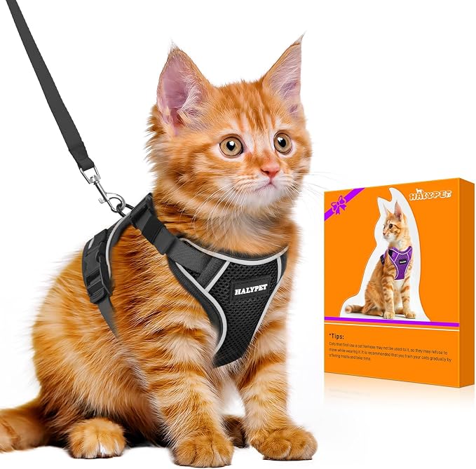 Halypet Cat Harness and Leash Set Escape Proof Adjustable Cat Leash Comfortable by DOMoreWithYourPet