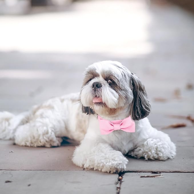Segarty Dog Bow Tie Collar, Adjustable Pink Bowtie - Image 6