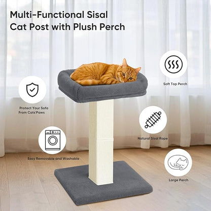 AGYM Cat Scratching Post, 32”Cat Scratcher - Image 6