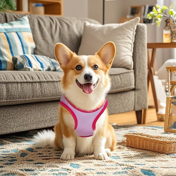 4 Pack Dog Shirts Summer Printed Puppy Clothes Cute Sleeveless Pet T Shirts Dog - Image 5
