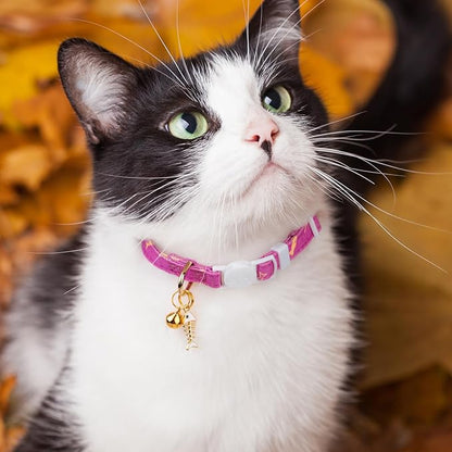 2 Pack Cotton Breakaway Cat Collar Orange and Purple Fish Pendant Cute Kitten - Image 6