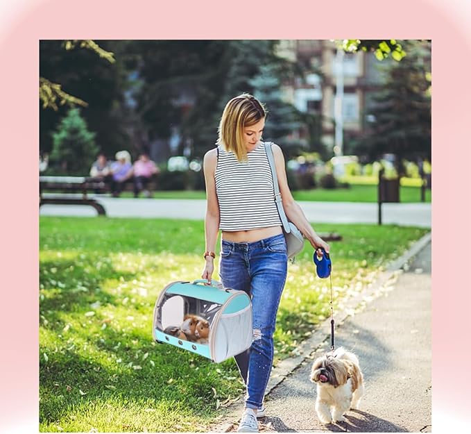 Bearded Dragon Travel Carrier Backpack, Lizard Backpack Carrier, Space Capsule - Image 6