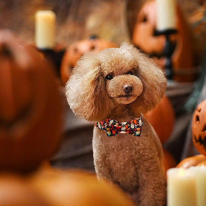 Fall Dog Collar, Leaf Pumpkin Print Adjustable Pet Collar Cute Cotton Soft - Image 5