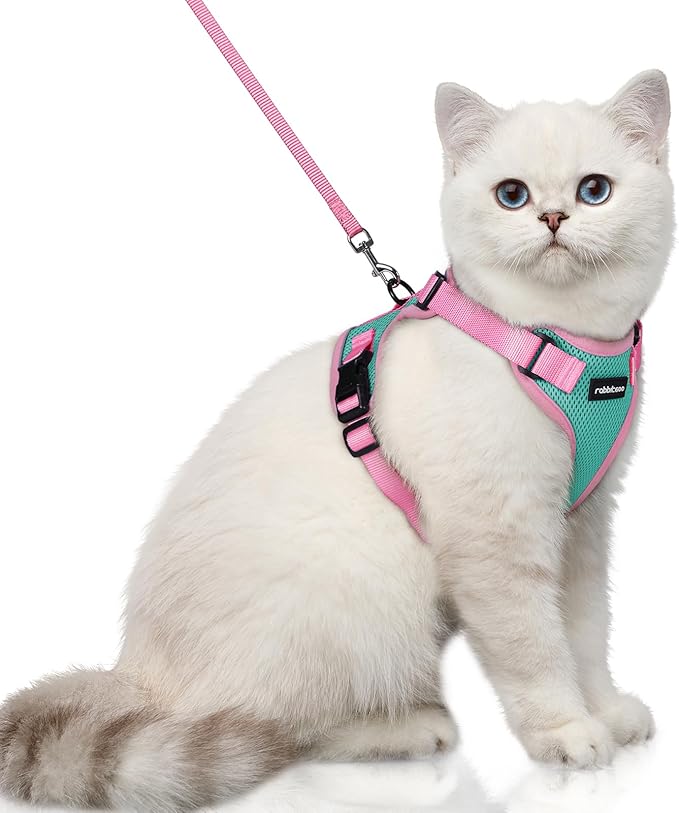 rabbitgoo Cat Harness and Leash Set, Escape Proof Soft Adjustable Vest Harnesses by rabbitgoo