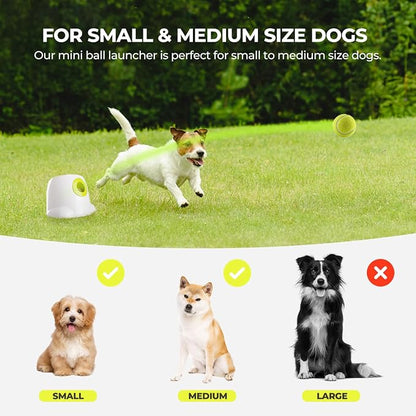 ALL FOR PAWS Original Dog Automatic Ball Launcher for Small and Medium Dogs - Image 4
