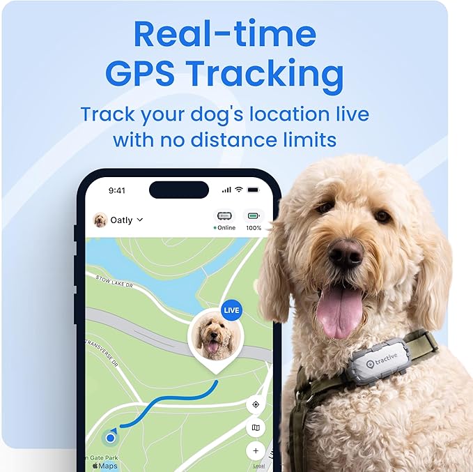 Tractive XL Smart Dog GPS Tracker | Live Pet Tracker - Image 2