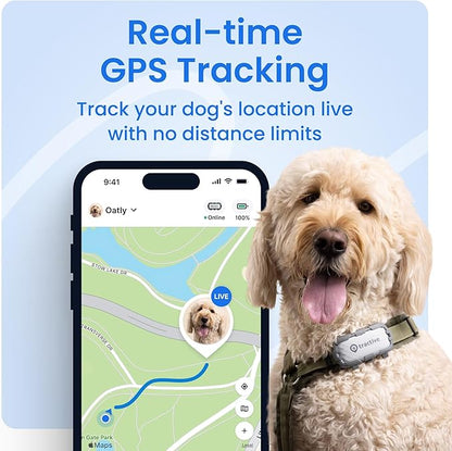 Tractive XL Smart Dog GPS Tracker | Live Pet Tracker - Image 2