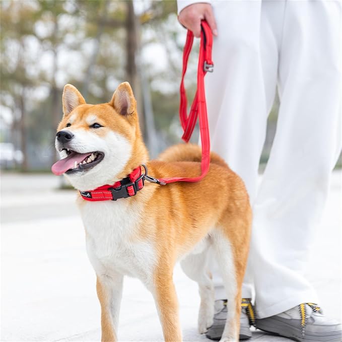 EXCELLENT ELITE SPANKER Reflective Dog Collar Classic Soft Padded Breathable - Image 8