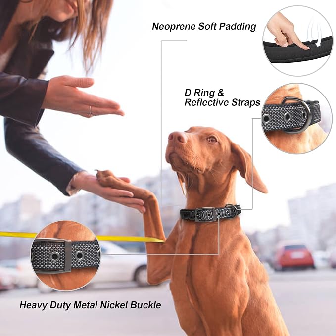 PetiFine Dog Collar for Large Dogs, Neoprene Padded and Adjustable, Reflective - Image 2