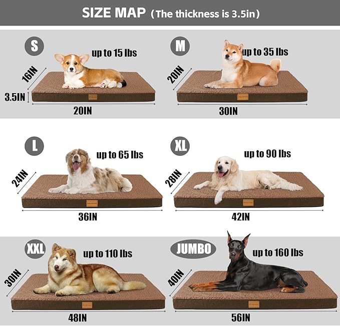 Patas Lague Orthopedic Jumbo Dog Bed - Image 5