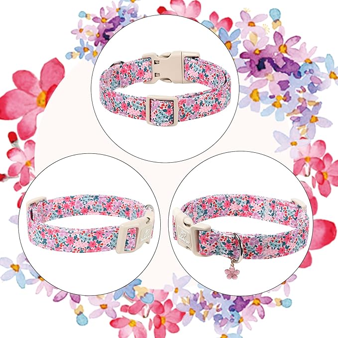 Floral Dog Collar, Cute Girl Dog Collars - Image 6